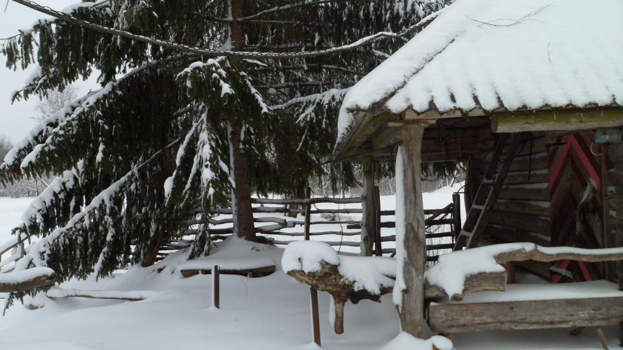 Viruna Farm Kiraste Exterior foto