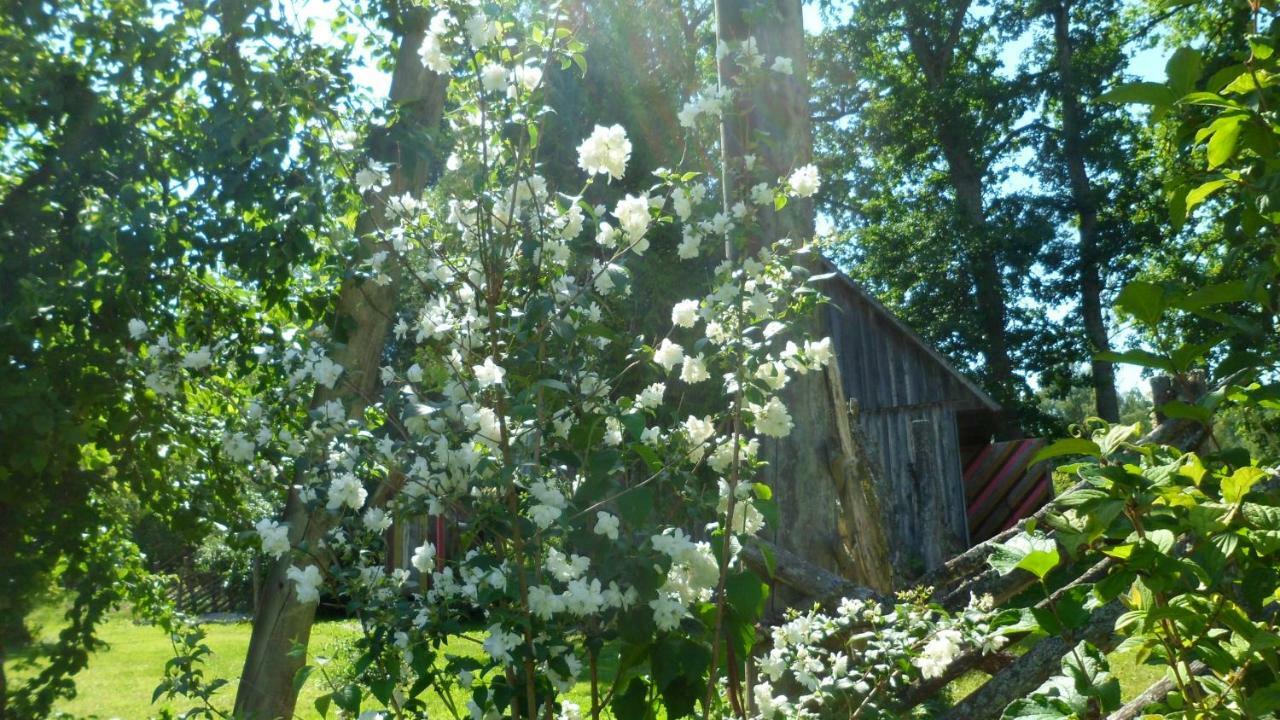 Viruna Farm Kiraste Exterior foto